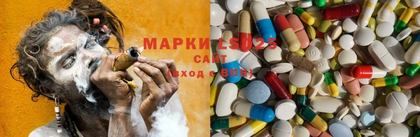 PSILOCYBIN Балахна