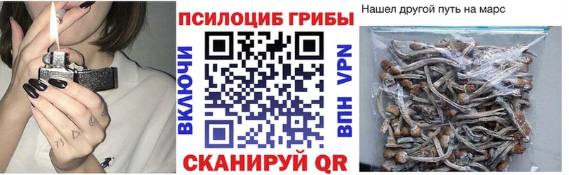 omg ONION  Билибино  Псилоцибиновые грибы мицелий 